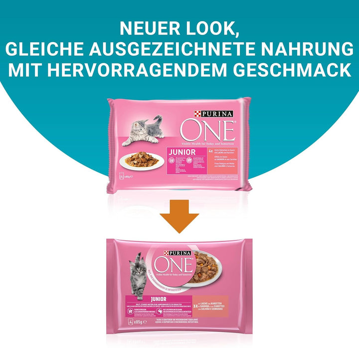 PURINA ONE Junior somon și morcovi