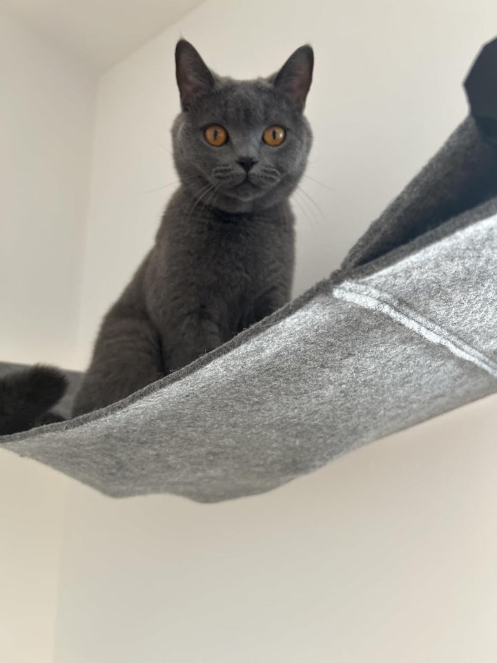 Hamac pentru pisici | Calitate înaltă | Hamac modern pentru pisici, montat pe perete | Elegant | Susține până la 30 kg | Metal negru și fetru moale de lână | Negru și gri