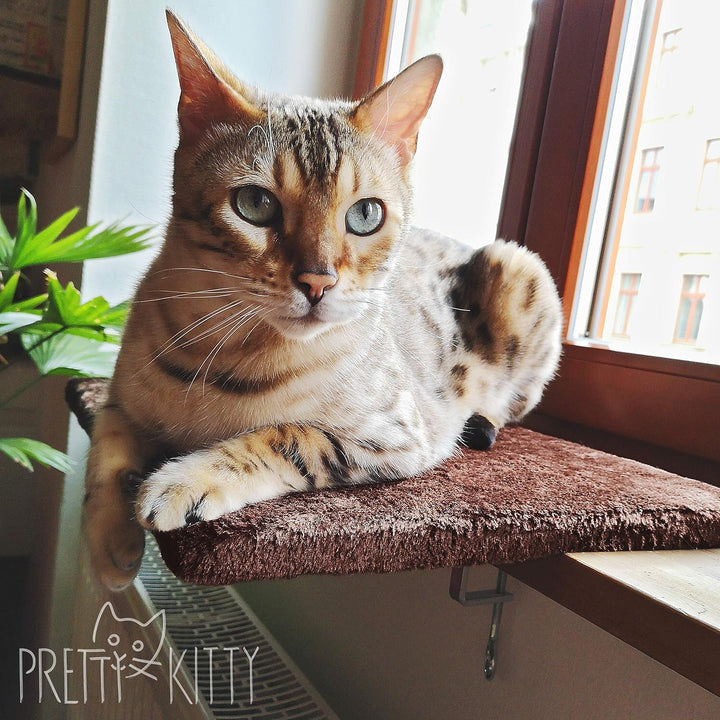 Pat de fereastră pentru pisică Pretty Kitty 32X41Cm: Pat pufos pentru pisică de pe pervaz, Pat pufos premium pentru pisică, Pat pentru pisică de pe pervaz - Lavabil, Pat pentru pisică de pe pervaz