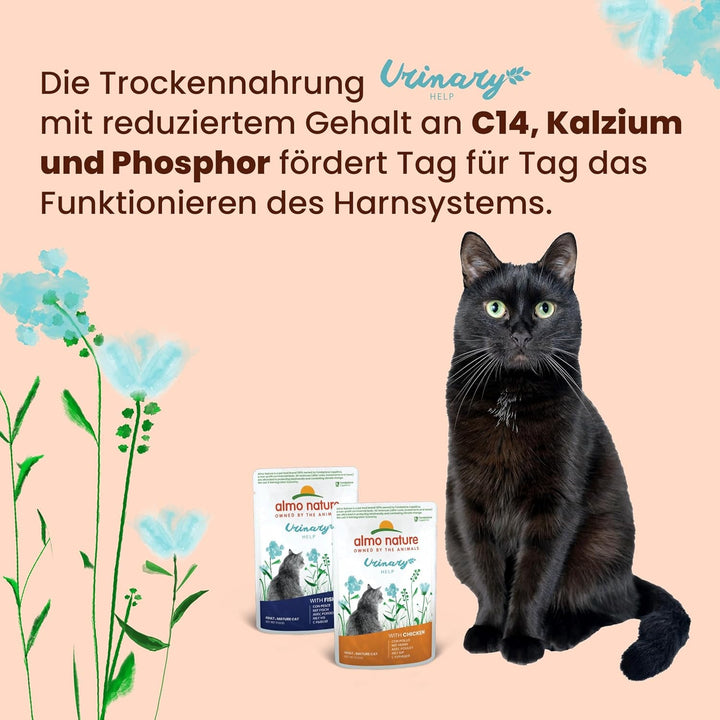 Almo Nature Holistic Urinary Help Hrană pentru pisici, hrană umedă pentru pisici adulte cu curcan. Pachet de 30 (30 X 70G)