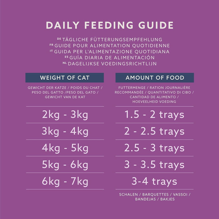 By Amazon Hrană pentru pisici, umedă, pateu cu păsări de curte, 100 G, 16 bucăți (înainte de viață)