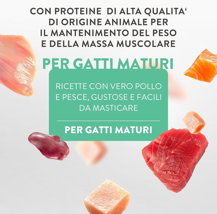 Title: Silver, Mâncare umedă completă cu aromă de pui din mousse pentru pisici mai în vârstă (12 X 80 G)