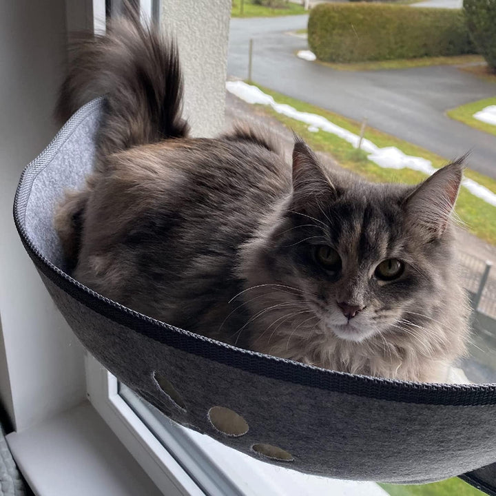 Șezlong pentru pisici, scaune de fereastră cu covorașe și ventuză pentru plajă, până la 20 kg, 70 cm x 29 cm