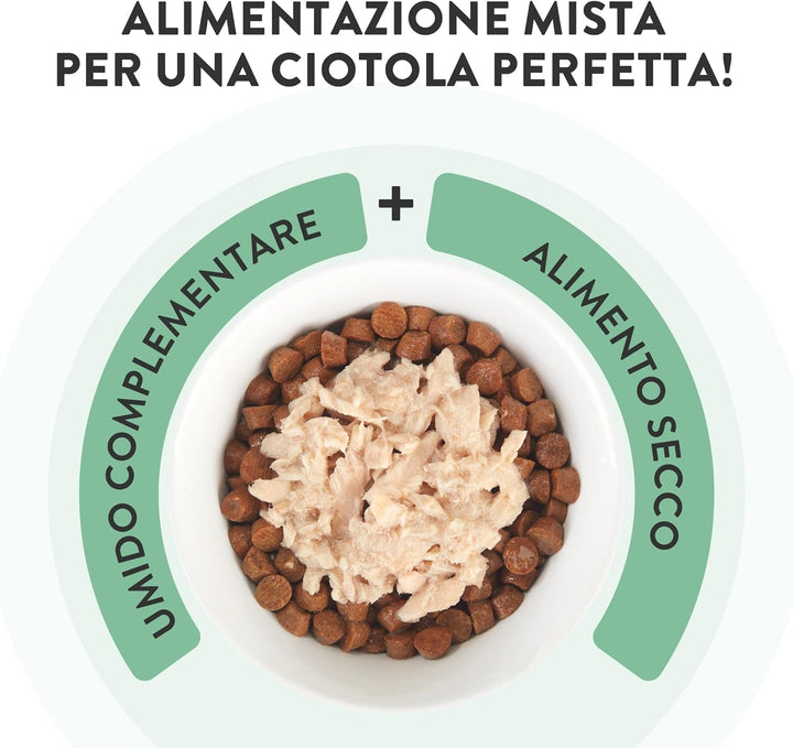 , Supă cu fileuri de somon și morcov, hrană umedă complementară pentru pisici, rețeta originală, 100% naturală, 12 pungi a 40 g