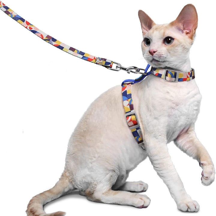Supet Cat Harness And Leash, vestă pentru pisici rezistentă la izbucniri pentru pisici mici și mari, gulere reglabile pentru pisici, hamuri și lese pentru plimbare, ham ușor pentru pisoi