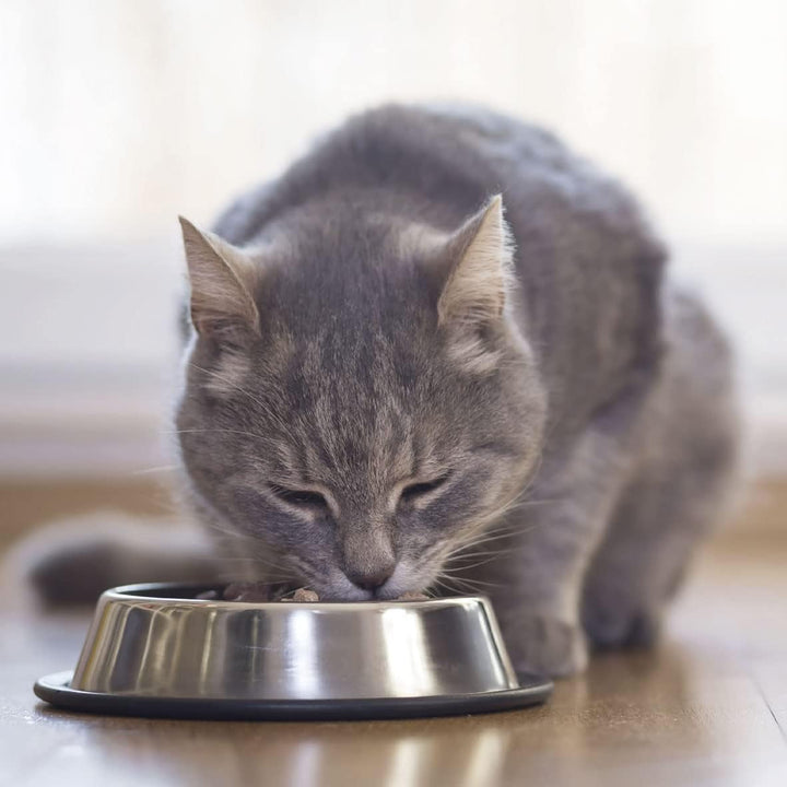 Beaphar Kidney Diet Mix Pack, 600G