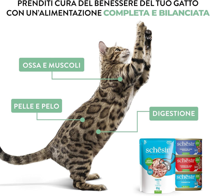 , Ton cu jeleu de șuncă, Hrană umedă completă pentru pisici, Cu adaos de vitamine, 100% naturală, 6 cutii a 85 G