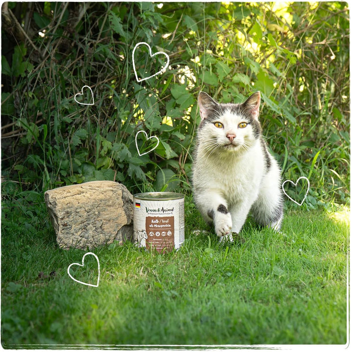 Venandi Animal - Hrană umedă premium pentru pisici - vițel ca monoproteină 6Pack (6 X 400 G), fără cereale, monoproteină