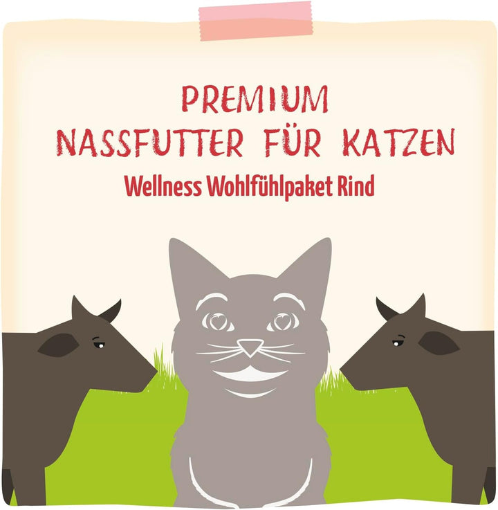 Mjamjam - Hrană umedă premium pentru pisici - Wellness Wellbeing Pack Beef, 12Pack (12 X 125G), fără cereale cu extra carne