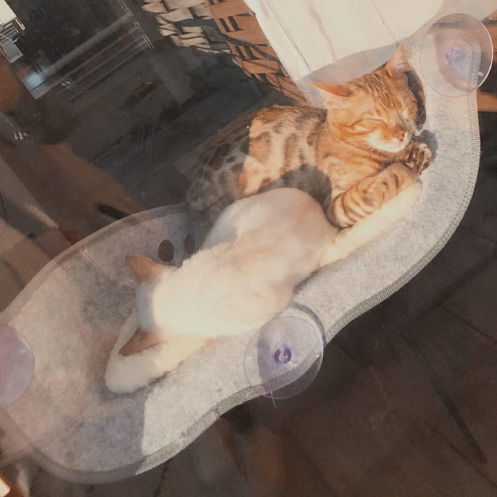 Șezlong pentru pisici, scaune de fereastră cu covorașe și ventuză pentru plajă, până la 20 kg, 70 cm x 29 cm