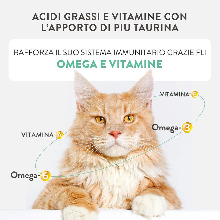 Title: Silver, Mâncare umedă completă cu aromă de pui din mousse pentru pisici mai în vârstă (12 X 80 G)