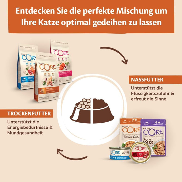 Wellness CORE 98% pui și somon, 12 X 85 G, hrană umedă premium pentru pisici adulte, pateu de hrană pentru pisici, fără zahăr adăugat, fără cereale, cu conținut ridicat de carne