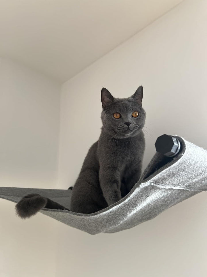 Hamac pentru pisici | Calitate înaltă | Hamac modern pentru pisici, montat pe perete | Elegant | Susține până la 30 kg | Metal negru și fetru moale de lână | Negru și gri