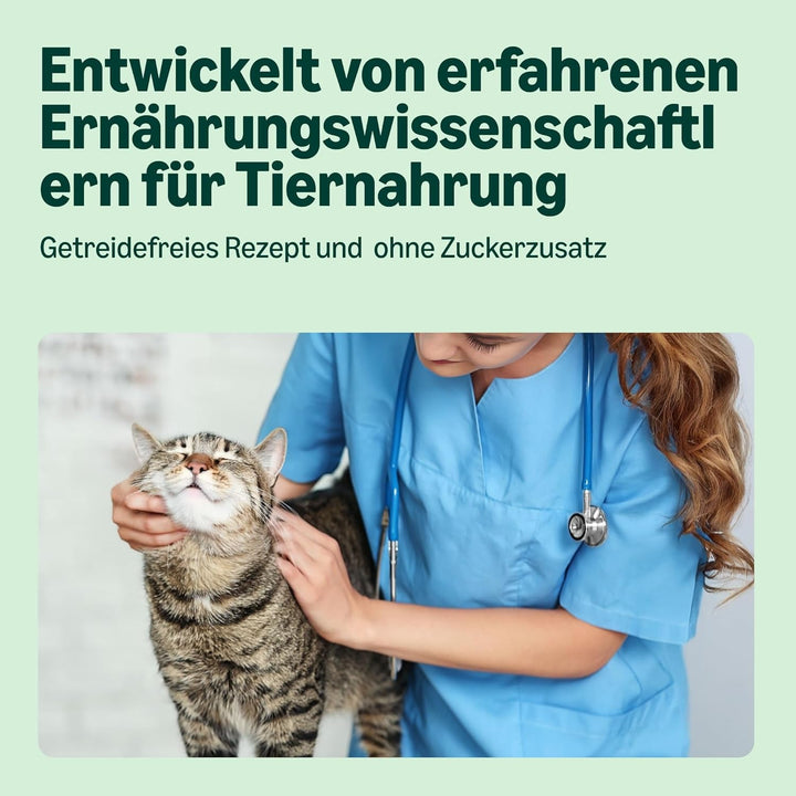 By Amazon hrană pentru pisici, umedă, fără cereale, conservă, bucăți de pui în jeleu, 12 X 405 G