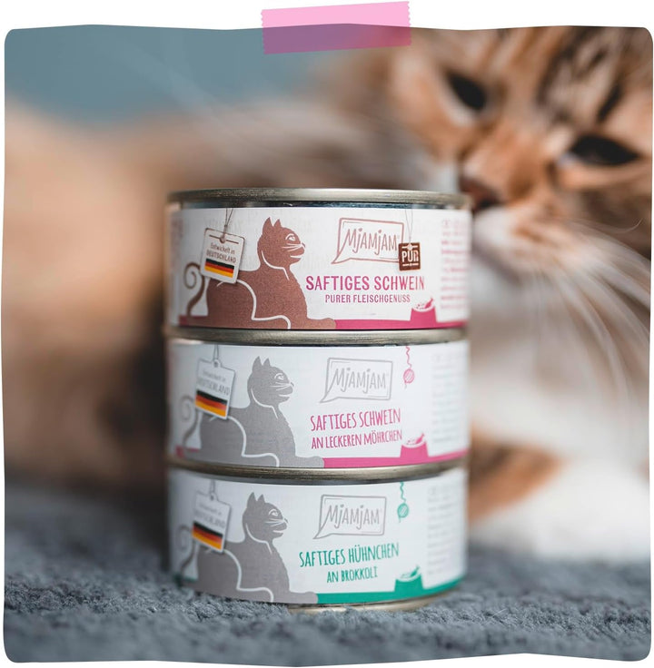 Mjamjam - Hrană umedă premium pentru pisici - Squeeze - Porc suculent cu morcovi delicioși, pachet de 6 (6 X 300G), fără cereale cu extra carne