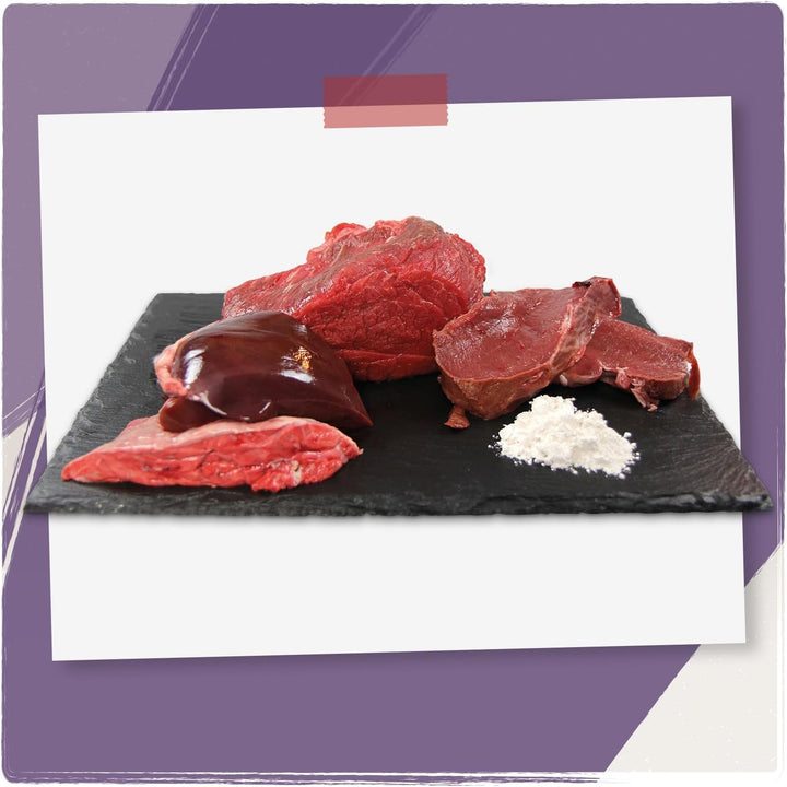 Venandi Animal - Hrană umedă premium pentru pisici - Horse as monoprotein 12-pack (12 X 125 G), fără cereale, monoproteină