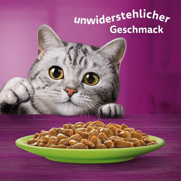 Whiskas Senior 7+ Hrană umedă pentru pisici Mixed Selection in Sauce, 48 de pliculețe, 12X85G (pachet de 4) - Hrană umedă de înaltă calitate, pentru pisici de 7 ani și mai în vârstă