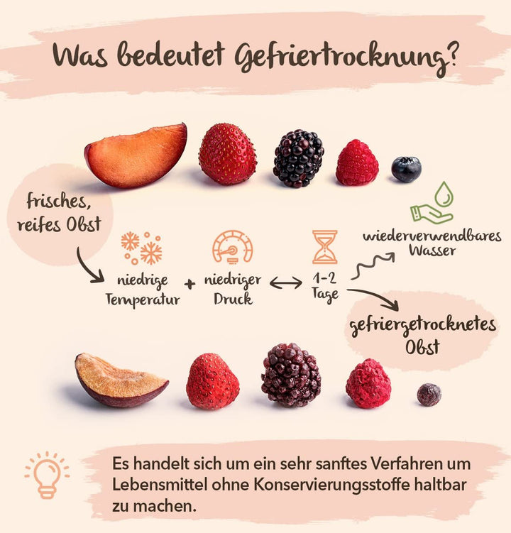 BRIX căpșuni liofilizate | Căpșuni naturale 75 g | Great Taste Award pentru fructe uscate, liofilizate | Fără OMG, fără gluten, vegan, vitamine reținute Produse deshidratate Naty Shop