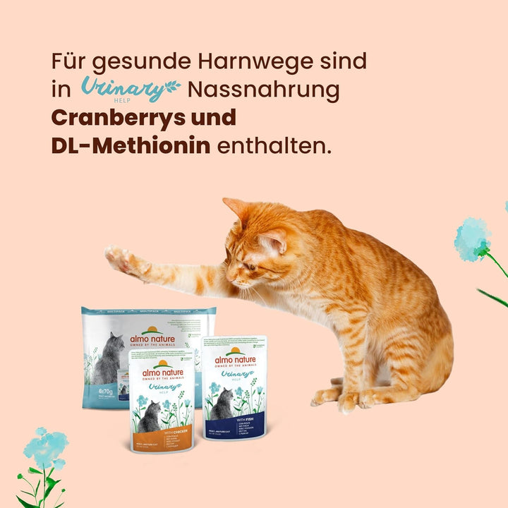 Almo Nature Holistic Urinary Help Hrană pentru pisici, hrană umedă pentru pisici adulte cu curcan. Pachet de 30 (30 X 70G)