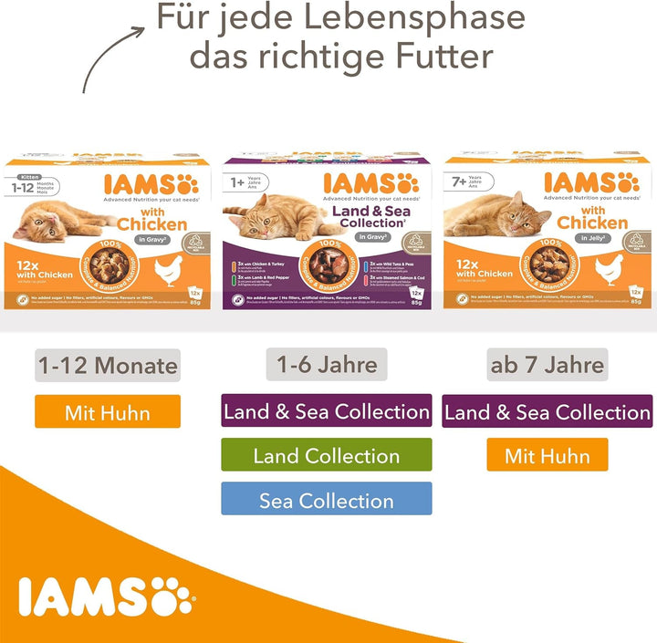 IAMS Delights Land Collection Hrană umedă pentru pisici - Multipack cu sortimente de carne (miel, vită, pui și curcan) în sos, hrană umedă pentru pisici de peste 1 an, 12 X 85G