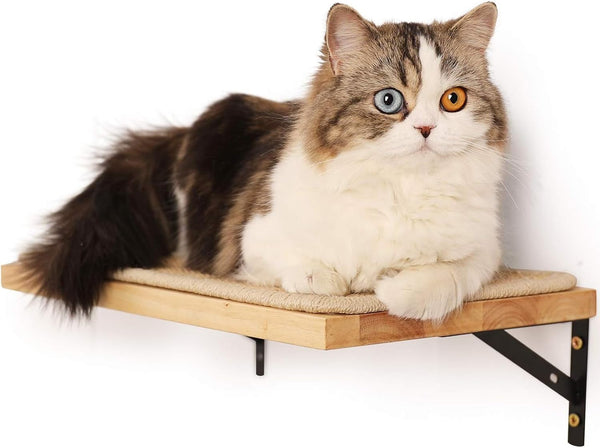 FUKUMARU Perete de cățărat pentru pisici, Perete pentru pat de pisică din lemn masiv de cauciuc cu grosimea de 2 cm, cu covoraș de zgârietură din sisal durabil, Șezlong/scări pentru pisici montat pe perete 40x25 cm