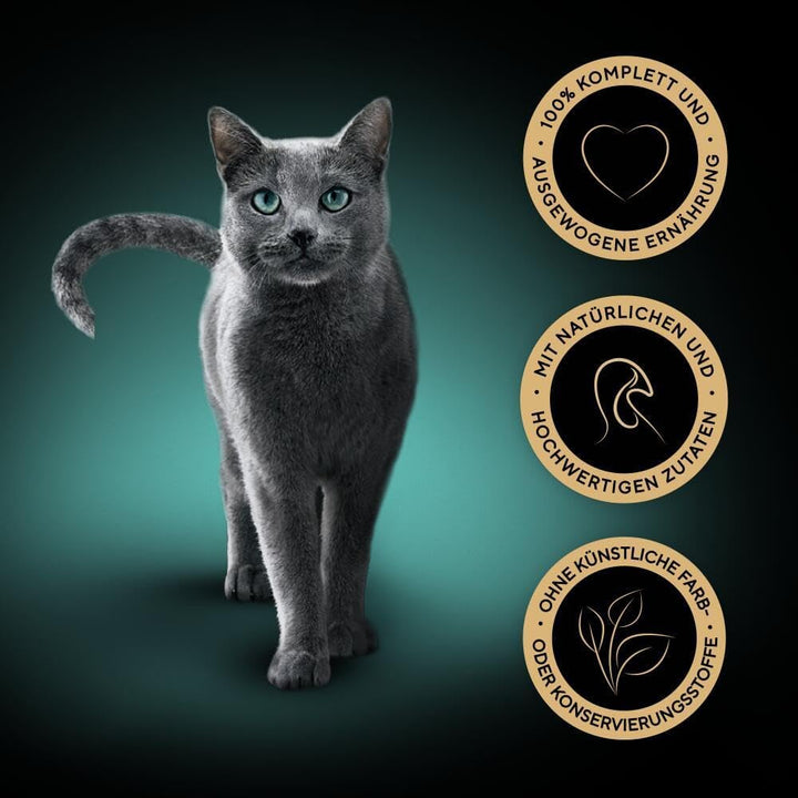 SHEBA Bowl Hrană umedă pentru pisici Colecția de sosuri cu curcan în sos ușor 2 X 11 X 85G