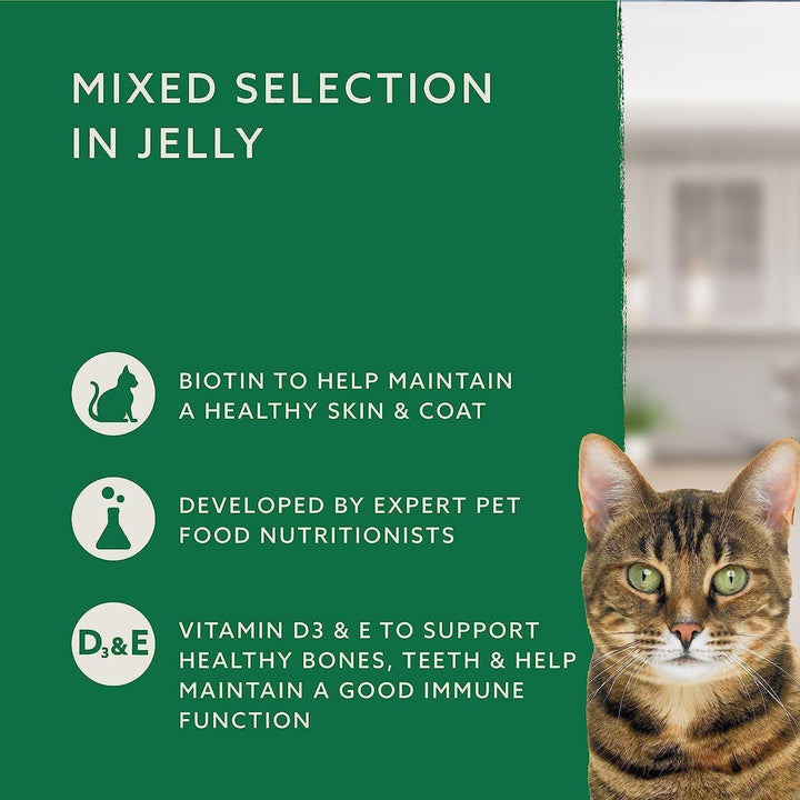 By Amazon Hrană pentru pisici, umedă, fără cereale, pentru pisici adulte, selecție mixtă în jeleu, 4,8 kg (48 pachete a 100 g)