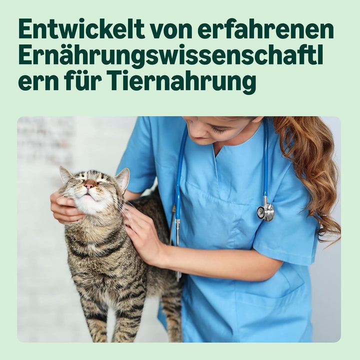 By Amazon Hrană pentru pisici, umedă, conservă, bucăți cu carne de pasăre în sos, 12 X 415 G