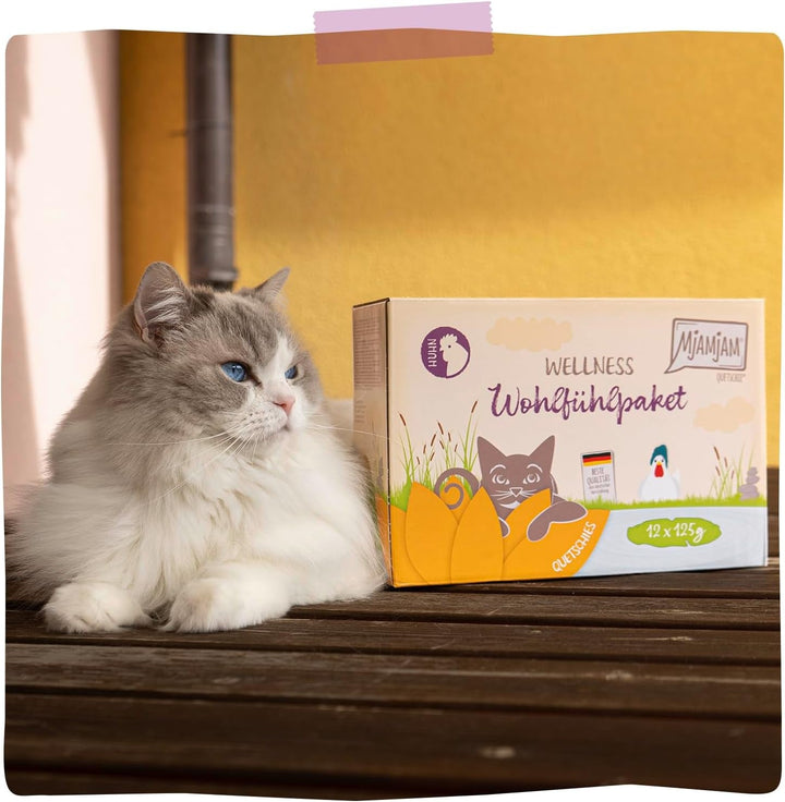 Mjamjam - Hrană umedă premium pentru pisici - Wellness Wellbeing Pack Pui, 12Pack (12 X 125G), fără cereale cu extra carne