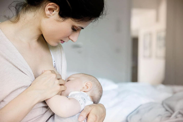 Nip® First Moments scuturi pentru mameloane, 2 bucăți Accesorii Hrana si Alaptare Bebe Naty Shop