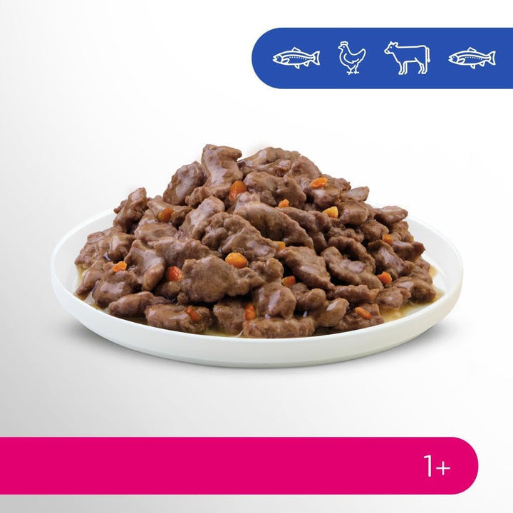 Perfect Fit Adult 1+ Wet Cat Food Selection With Salmon, Ocean Fish, Beef And Chicken, 48 plicuri, 12X85G (pachet de 4) - Hrană umedă premium pentru pisici, pentru pisici adulte de peste 1 an