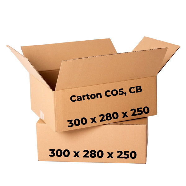 Set 20 cutii carton CO5, CB, 300 x 280 x 250 Cutii ambalare Nati Shop
